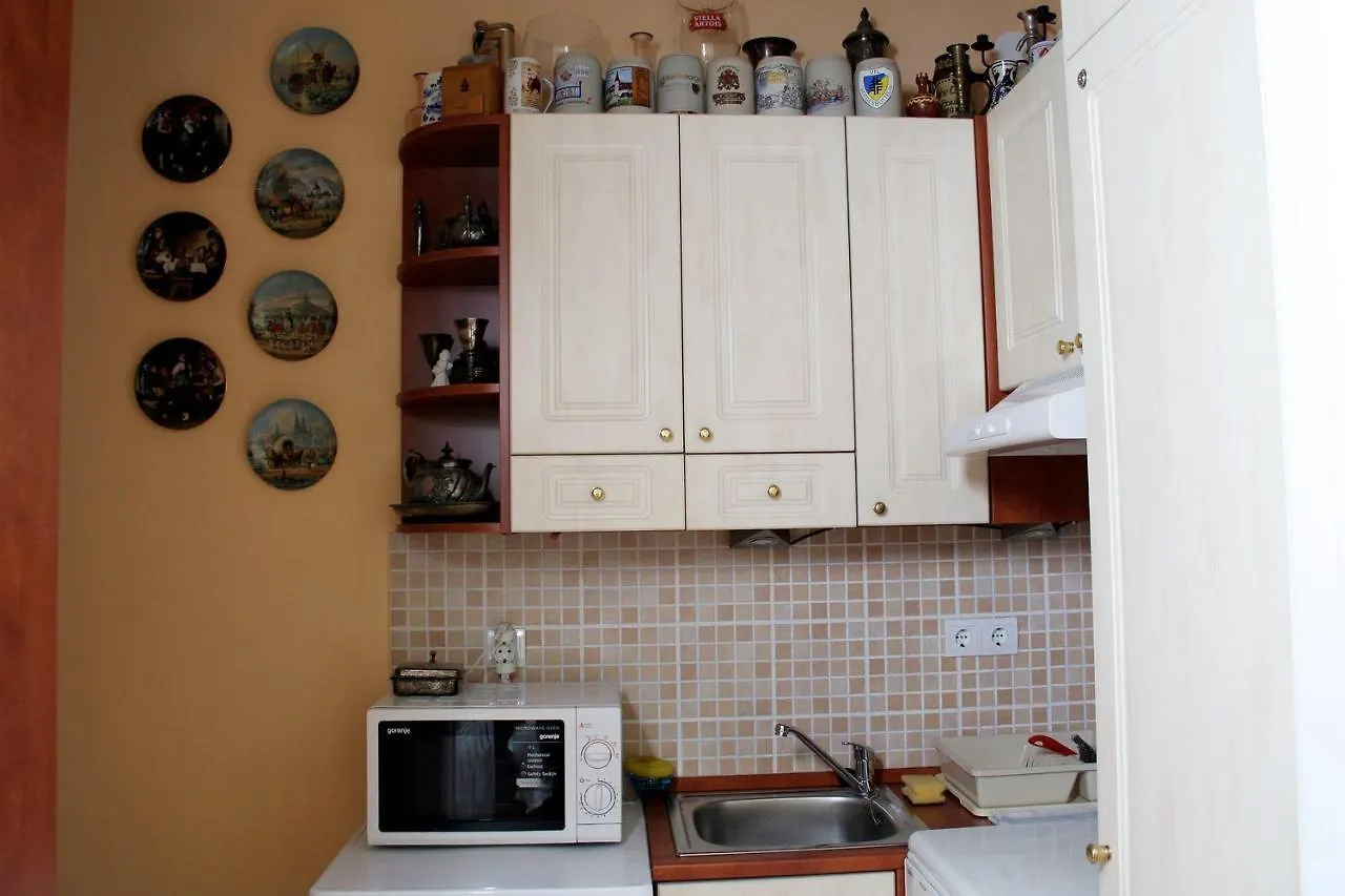 Central Ferenciek Apartments Budapešť Maďarsko